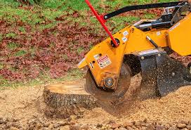 Best Lawn Pest Prevention  in Big Bass Lake, PA